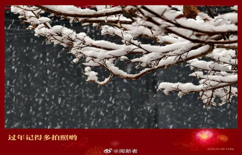 美国H1B签证争议升温引发公众关注