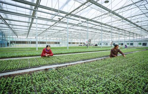 在这种情况下企业需要通过优化管理提升员工福利等方式来激发员工的工作热情从而避免不必要的裁员